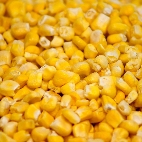 120 Serving Freeze Dried Vegetable Bucket